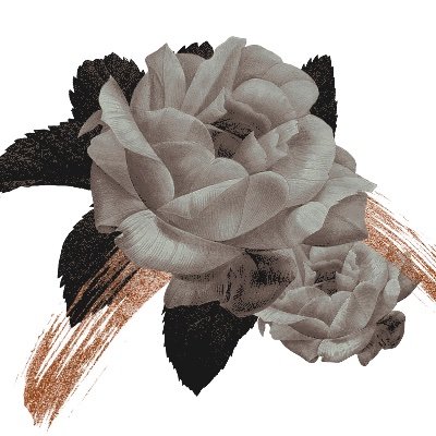 nixscriptum's profile picture. © originally inked & written by nixscriptum ⋆ also known as snow write.