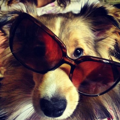 digitqlwulf's profile picture. call me Cain . . 21 !! ^-^ . . i create where my mind guides me . . thriller enthusiast !! strawpage soon !! . . Basic DNI . .