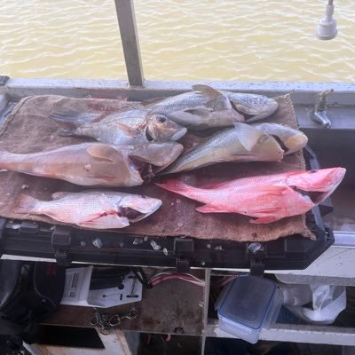 AlexSzendr3mm7's profile picture. 