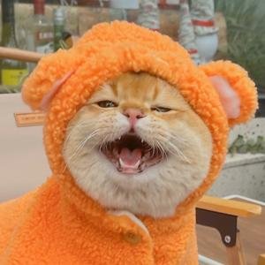 xnpbi55834441's profile picture. 