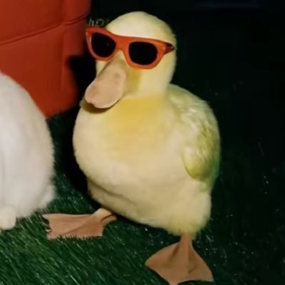 ItsNav_'s profile picture. twitch partner | https://t.co/oZkSjURtnx |