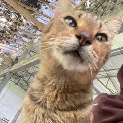 jeruk3113's profile picture. baru netes, cari teman ✌🏻