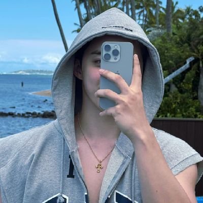 authorora's profile picture. AUroroRORA (งᐛ)ว (งᐖ )ว padlock / willcatsup / carnation / willcalabarzon / willcastle 🩷🩵 2mb / amats 🩵🩷💚❤ “say the name, seventeen” 🩵🩷