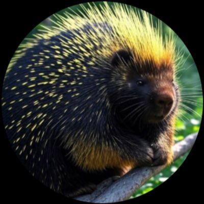 russdaniels303's profile picture. You’re not a real libertarian. Gingers see my Twitter but they don’t know how I be feeling. If “I don’t always” brought you here it’s probably about you.