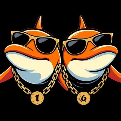 OrangeOrcas's profile picture. Collector / Hobbyist