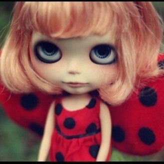 camhshater's profile picture. speedrunning era 🐛