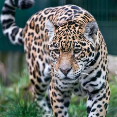 Dr_Pepper135's profile picture. 