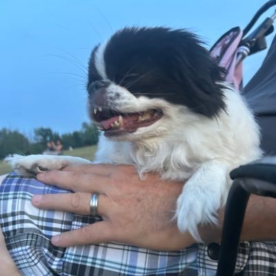 FAMUMDEMON's profile picture. 