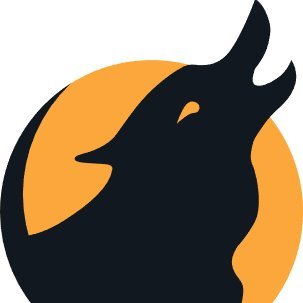 codewolfy_com's profile picture.