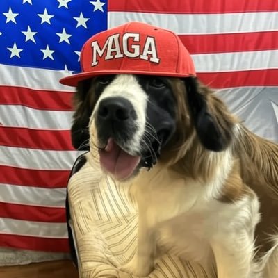 Liberty_276's profile picture. #MAGA #JesusIsLord