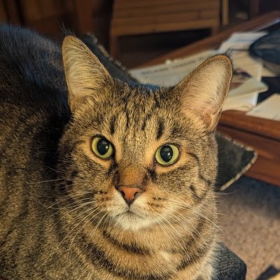 josh85415's profile picture. love reading my Murder She Wrote book an play with my 3 cat's