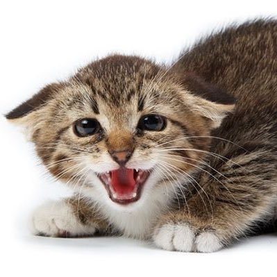 xcxmuni's profile picture. 