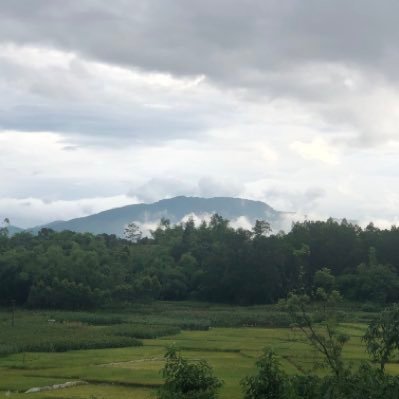 THAN848988's profile picture. 