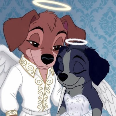 CockerCora's profile picture. I can be really silly, crushing on my new love @RoccoDdoggor