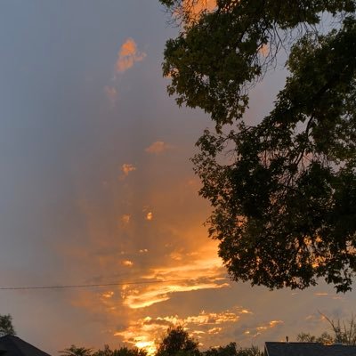 alyciahanson02's profile picture. 