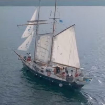 tnr1093674's profile picture. 可憐なアイボリー🐘／高嶺のなでしこ🐈‍⬛／カラフルスクリーム🌈を応援しています。ファンの方無言フォローしてしまいますお許しを🙇