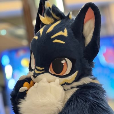 ShouLei_Heck's profile picture. 我是脩雷&赫克🇹🇼獸裝扮演著、喜歡音樂，剛好會小提琴、愛玩遊戲! 中文：⭕️ English:🤏 。～脩雷（ShouLei)🪡:@TEDDY_FUR 🖌️:@sayanthebear ～～～～～～～～～～～～赫克(Heck)🪡:@KemoTianou 🖌️:@KemoTianou