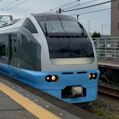 gf491653's profile picture. 