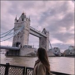 orservanpa68671's profile picture. 