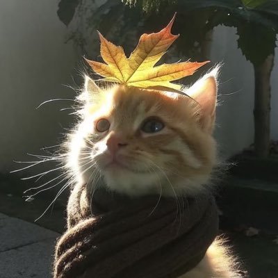 viyevil's profile picture. 