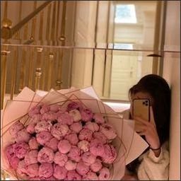 borreson5639994's profile picture. 