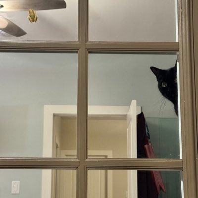 1Dsoccerluvr's profile picture. 