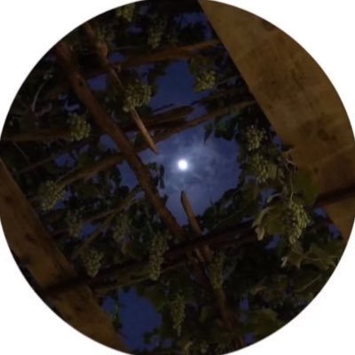 hlix7_'s profile picture. Student at @KSAU_HS | B24