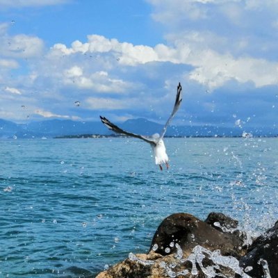 l19990101's profile picture. 