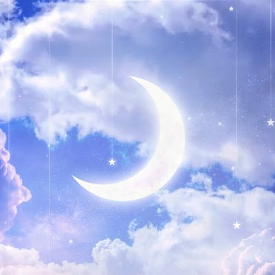 tiki10taka's profile picture.