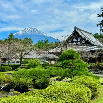 VeronaDream's profile picture. 