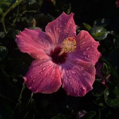 nocapbased's profile picture. your mom likes me 🤭