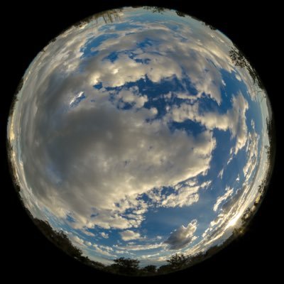 whipdatonki's profile picture. @teaam2k