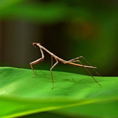 24fishz's profile picture. 19 . it/he