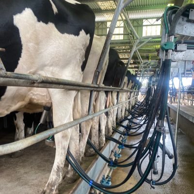 Cam_McIlveen's profile picture. 