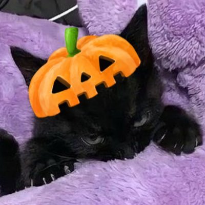 alwaysbegopa's profile picture. 조금도 맞고 싶지 않다. 오로지 패고만 싶다. 그저 때리고 또 때리고, 그러고도 또 때리고만 싶다 모두를 쥐어팰 수만 있다면, 한 대도 맞지 않고 그런 것이 허락되는 지금이 오늘 내게 와준다면.