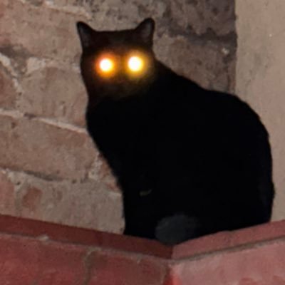 Jesús Fernando Profile