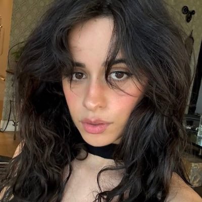 badrepshameless's profile picture. faves: camila cabello & shawn mendes ~ just a lover of music 🎧 living in my “twentysomethings” 💘