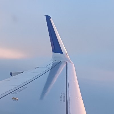 minamiscale's profile picture. irys-verify-0x8bc1f9-minamiscale