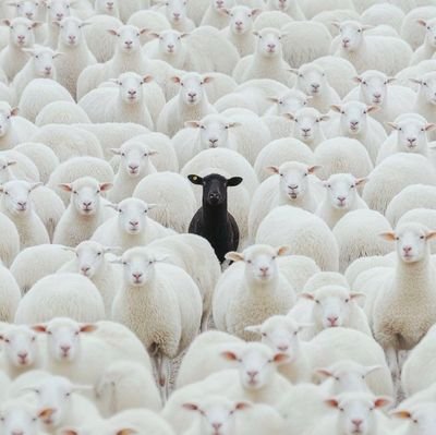 SNH_dextar's profile picture. CHANGE IS IMMINENT✊🏼