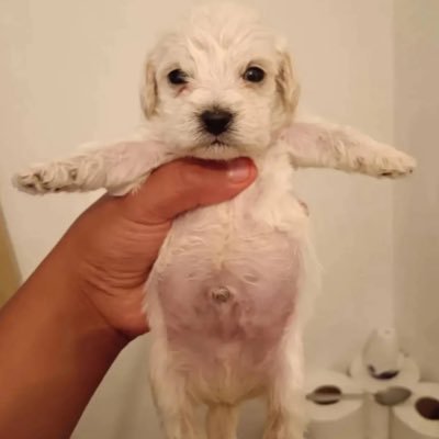 surrealbutnoise's profile picture. Add a bio to your profile