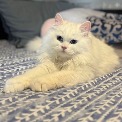 cathrina112's profile picture. Fun to chat with 🔥🍕🍑💦