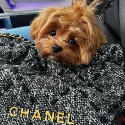 NicoleObserver's profile picture. 💋MAGA🇺🇸Designing jewelry, designing emotions 💫 Inspiration comes from stars, coffee, and you ☕🌌 Shining every day ✨💍 #ShiningIsNotShowingOff