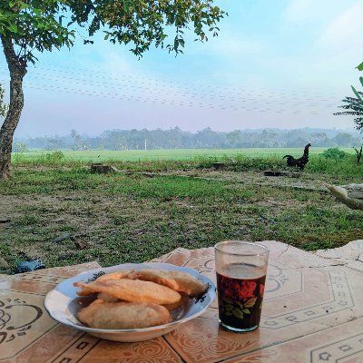 BolaAtum's profile picture. Ballers