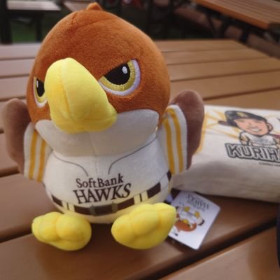 🦅🌈〓ぴぷ〓🌈🦅 (@pip0244) / Posts / X