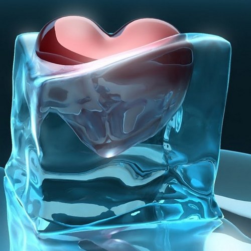 aki_chiy's profile picture. 猫大好き / 飼えないけどモフモフわんこも好き！ / 音楽♫ゲーム大好き！ / ①号と②号と変態と猫③匹と生活中 / スカパラ NARGO / MWAM / PENTHOUSE / 小林孝至 / supereight / 🍉大好き！