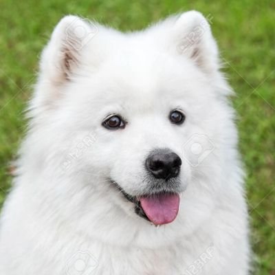 AnistonJen32342's profile picture. actress