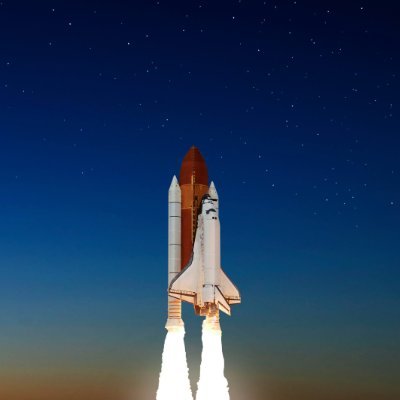 NinjaM499752's profile picture. 