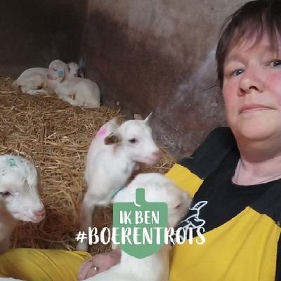 melkgeiten's profile picture. melkgeitenhoudster uit Twente /1750 geiten te bewonderen via de skybox.
vergaderen bij de boer. Lid kernteam BBB Overijssel