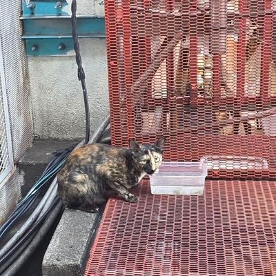 _yongji_'s profile picture. 