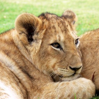 qbqns15161898's profile picture. 